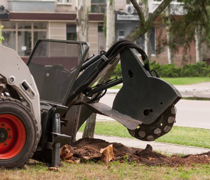 Commercial grade equipment used for stump grinding and tree root removal in Burlington.