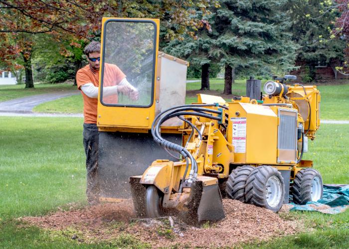 Heavy-duty equipment used for removing a tree stump.